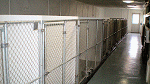 Indoor Heated Kennels